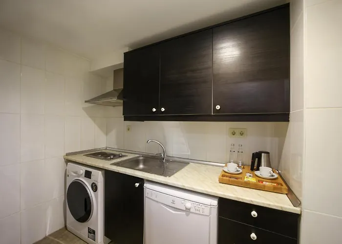 Meroddi Galata Flats Apartment Istanbul